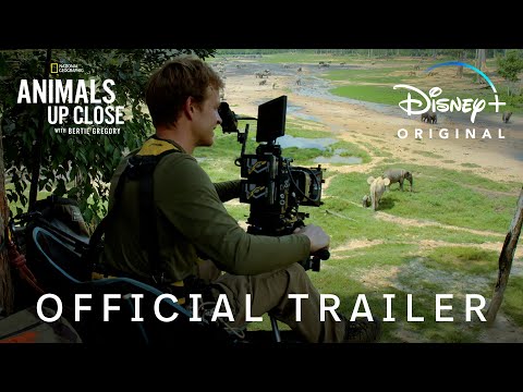 Official Trailer | Animals Up Close with Bertie Gregory | Disney+