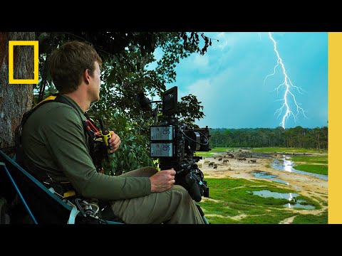 Bertie Gregory's Favorite Moments | Animals Up Close | Disney+ | National Geographic