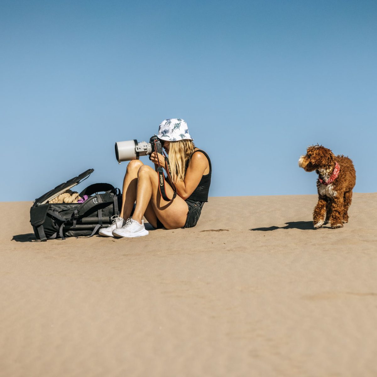 LT11_Glassberg_Talley_Sand Dunes_LR-4817