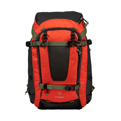 m116-CE26-01-Vibrant-Forest-Front